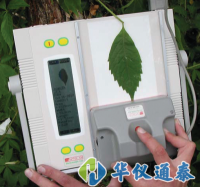 葉面積檢測(cè)操作步驟