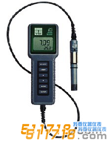 美國(guó)YSI 63型酸度、鹽度、電導(dǎo)、溫度測(cè)量?jī)x