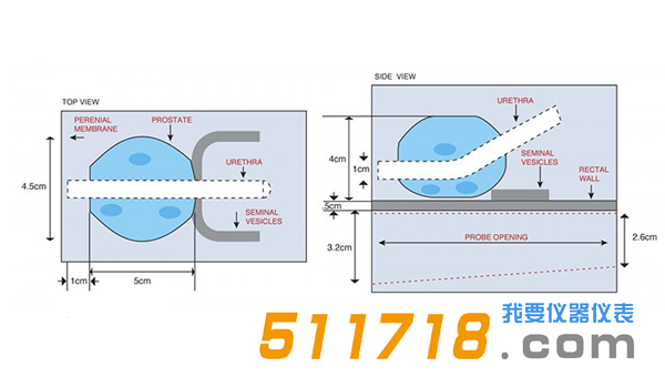 美國CIRS 053S 053L 053L-EF前列腺M(fèi)RI測試體模1.png